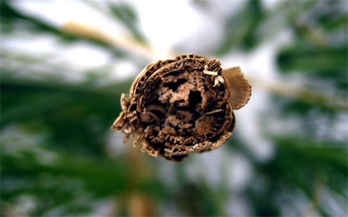 下摆臂多少钱，尼桑轩逸下支臂多少钱