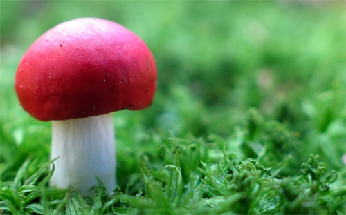 标致汽车配件批发市场，我想搞汽车配件请问谁知道哪里是最便宜的汽车配件批发市场